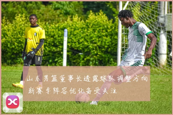 山东男篮董事长透露球队调整方向 新赛季阵容优化备受关注